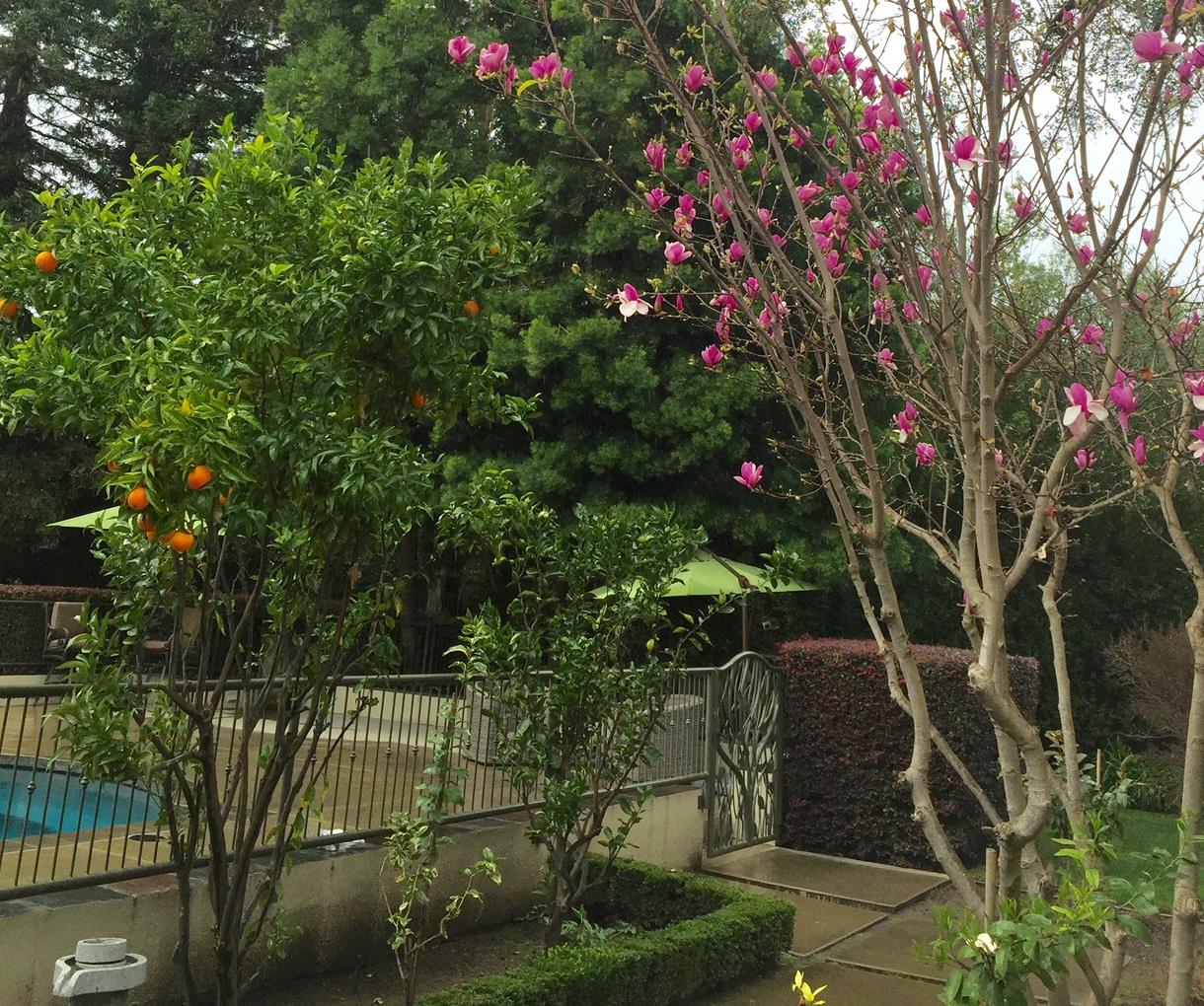 126 Atherton Avenue Atherton, CA 94027 - Photo 13 of 17