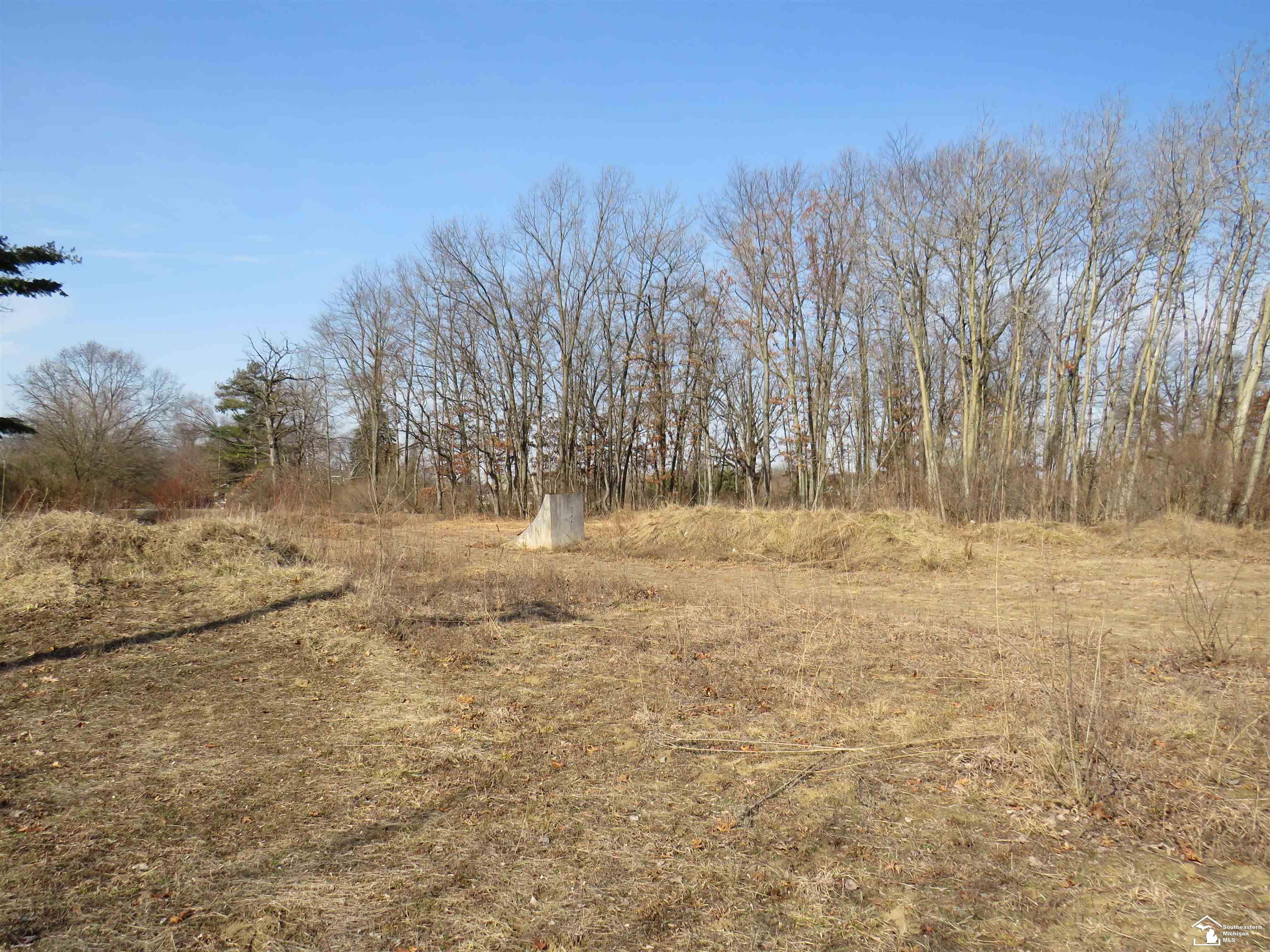 4903 Wells Road Petersburg, MI 49270 - Photo 36 of 39