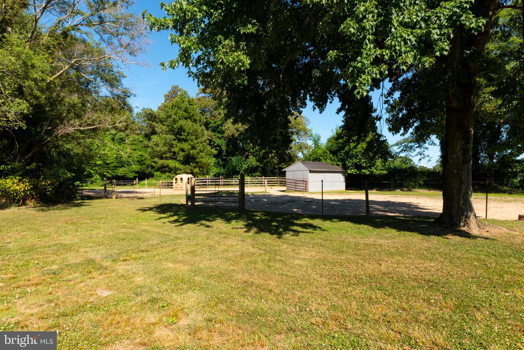 1007 Camp Road Denton, MD 21629 - Photo 11 of 58 Bring your Horses!