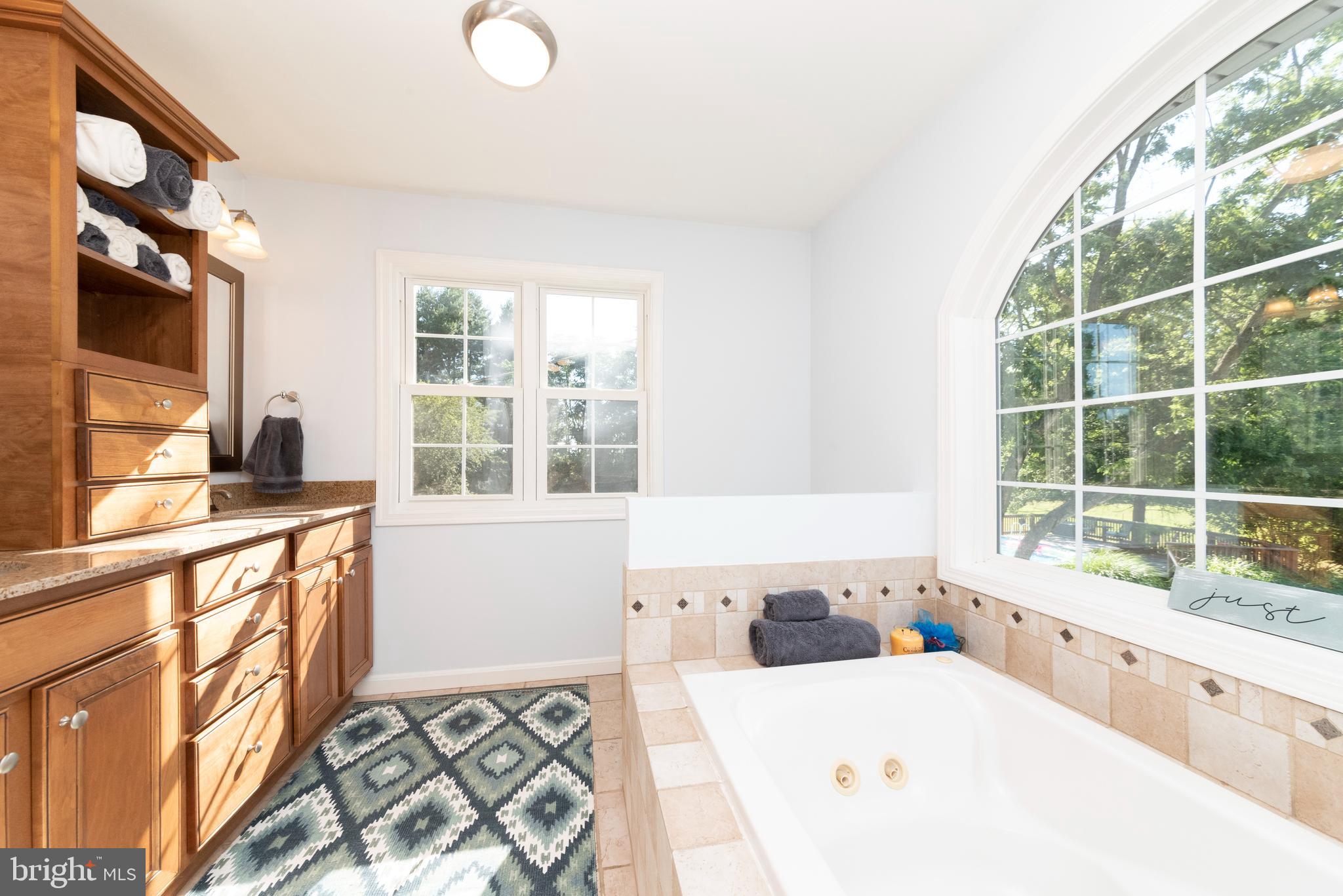 1007 Camp Road Denton, MD 21629 - Photo 28 of 58 Soaker Tub w/ a View