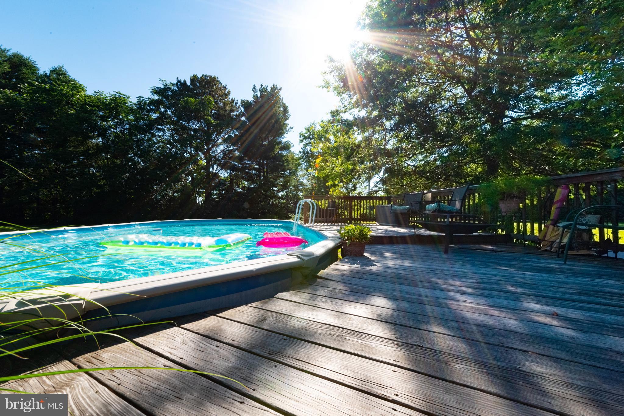 1007 Camp Road Denton, MD 21629 - Photo 44 of 58 Poolside