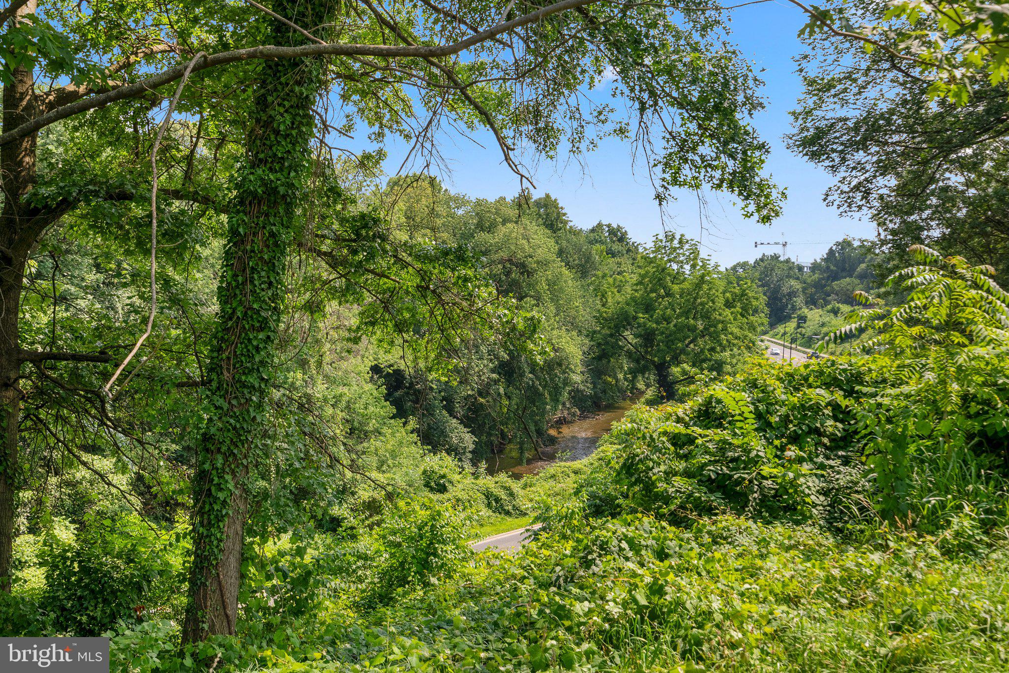 2500 Q Street Northwest, Unit 524 Washington, DC 20007 - Photo 43 of 50 a view of a garden