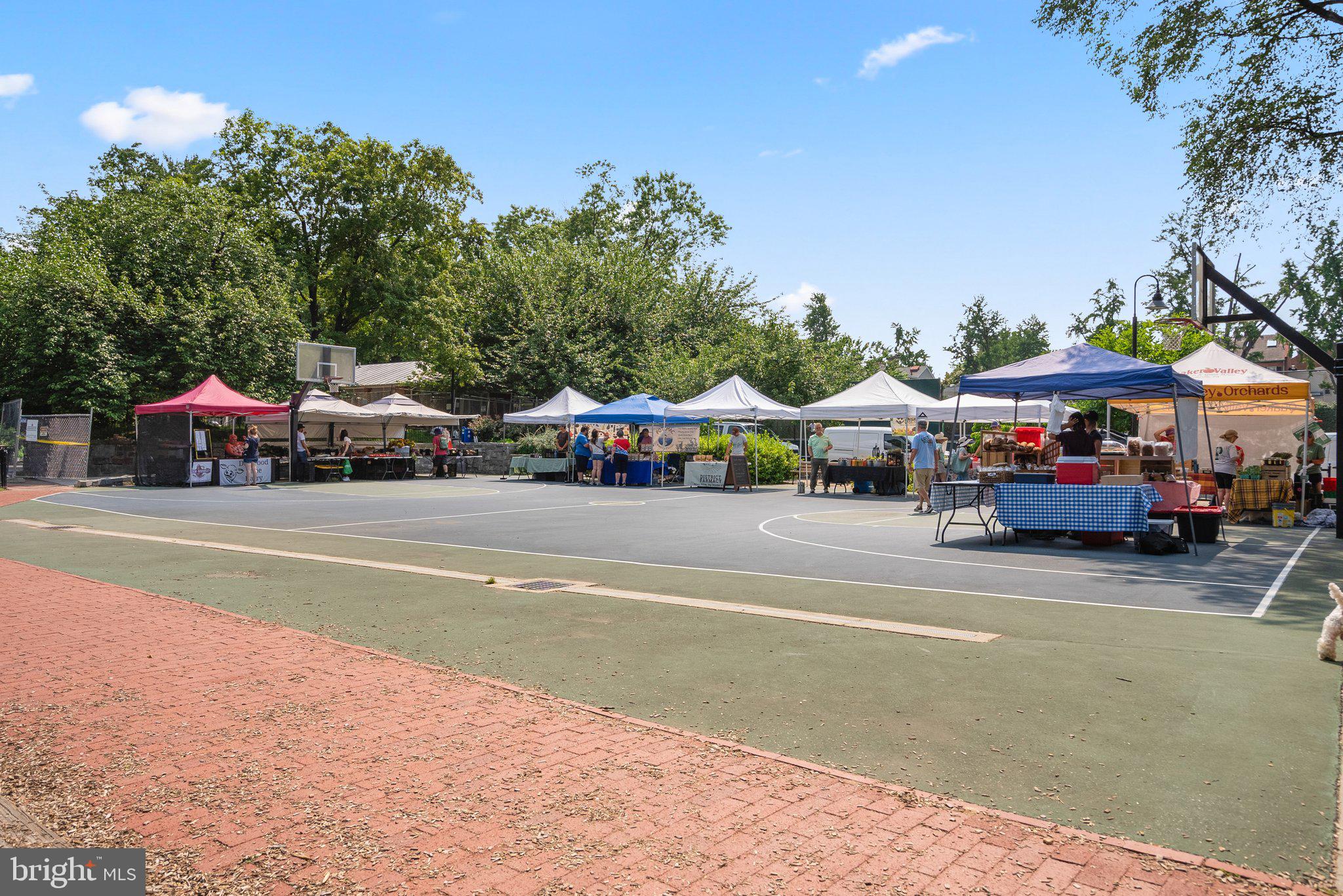 2500 Q Street Northwest, Unit 524 Washington, DC 20007 - Photo 49 of 50 a view of street with parked cars