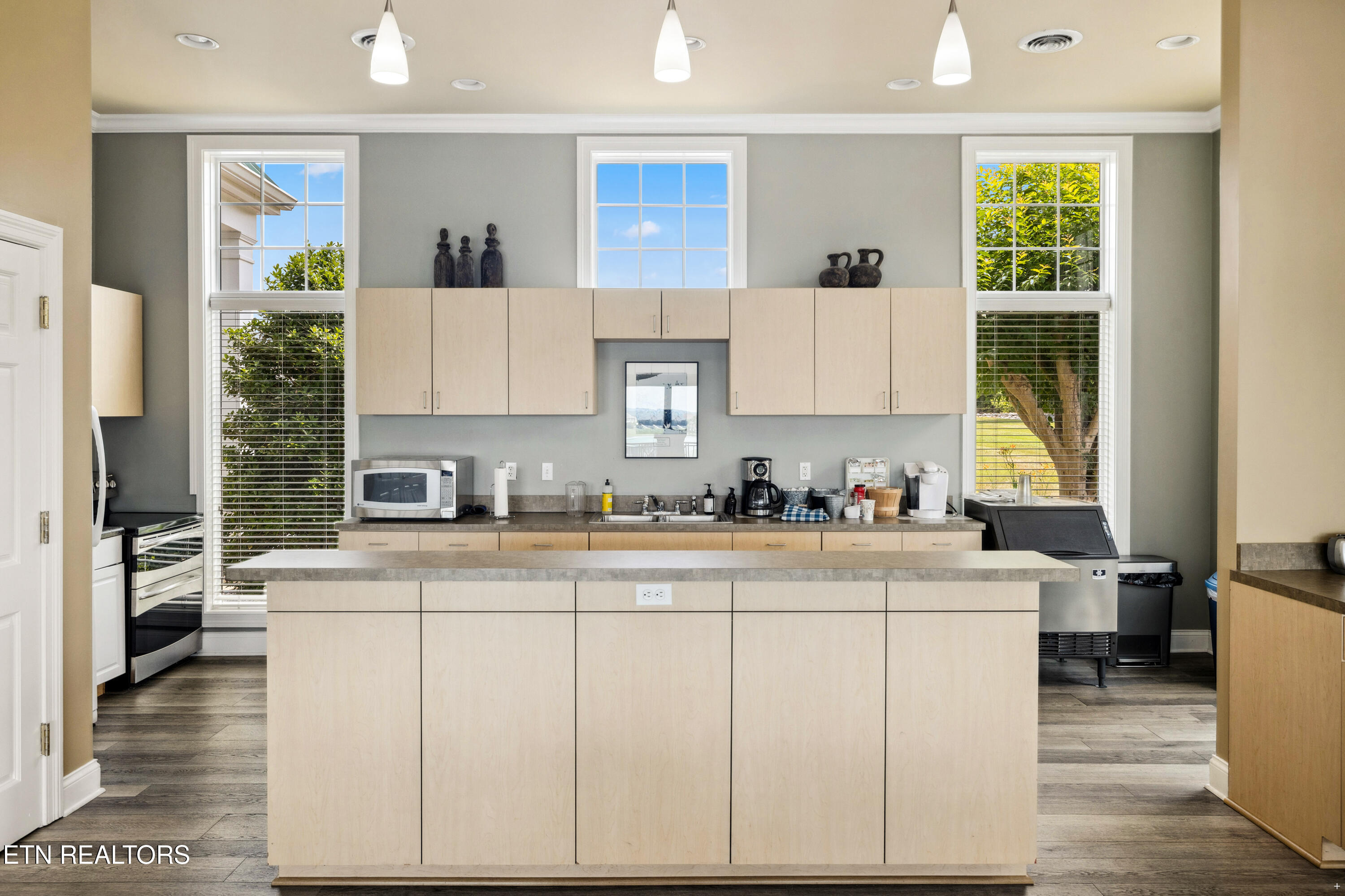 Lot 482 Reginas Point Sharps Chapel, TN 37866 - Photo 18 of 19 SB Clubhouse Kitchen