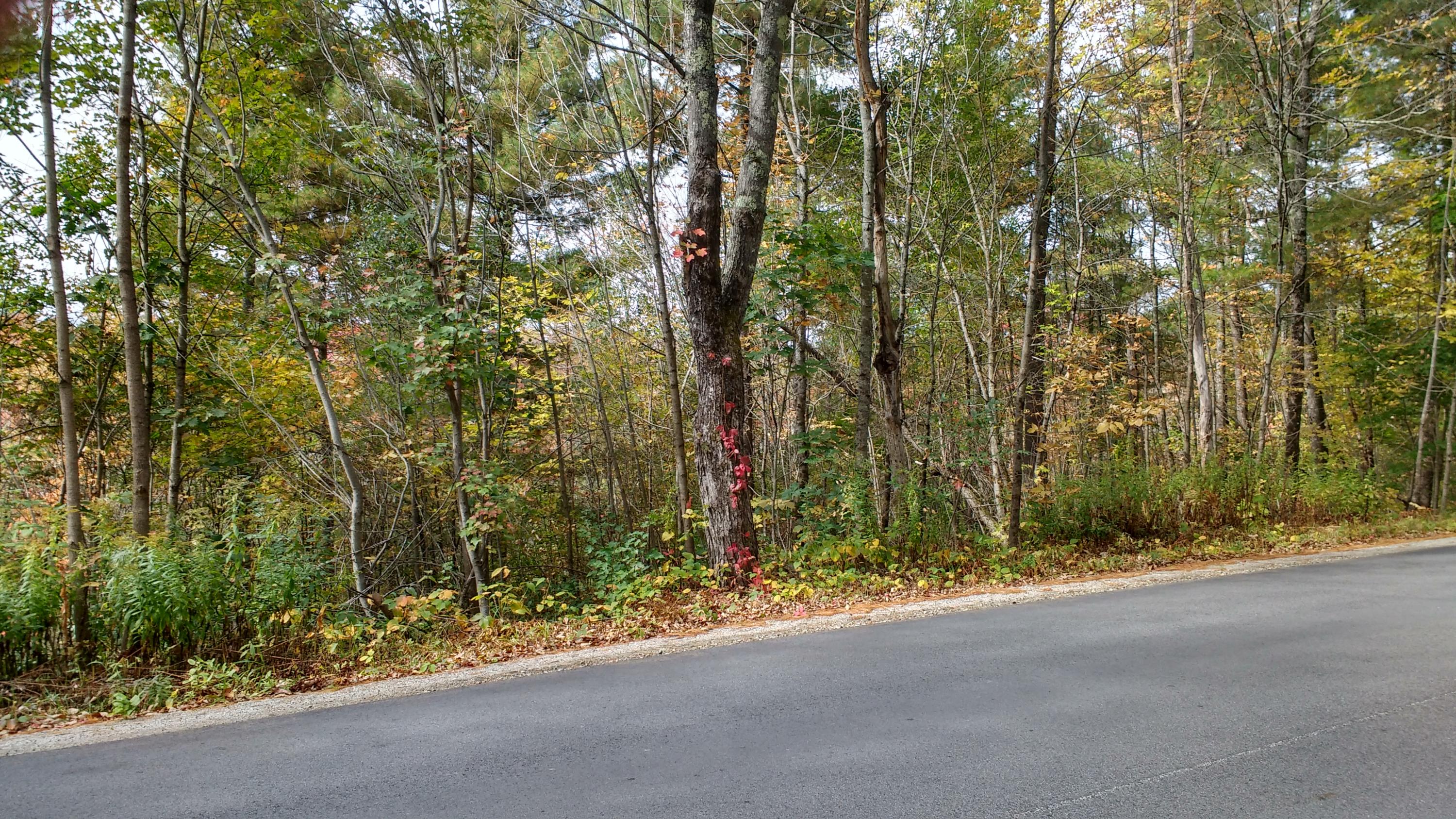 108 Cramm Road Limerick, ME 04048 - Photo 3 of 5 IMG_20191003_103535367_HDR