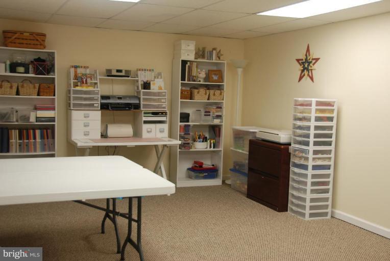 28685 Earthlite Road Wye Mills, MD 21679 - Photo 12 of 24 Basement #2