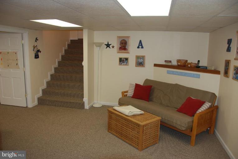 28685 Earthlite Road Wye Mills, MD 21679 - Photo 18 of 24 Basement #1