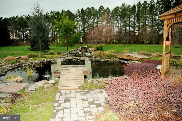 28685 Earthlite Road Wye Mills, MD 21679 - Photo 24 of 24 Water Garden 1