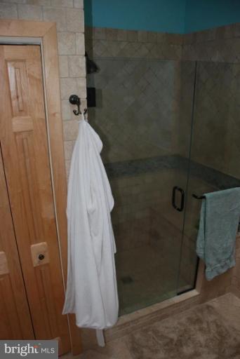 28685 Earthlite Road Wye Mills, MD 21679 - Photo 9 of 24 Master Bath #2