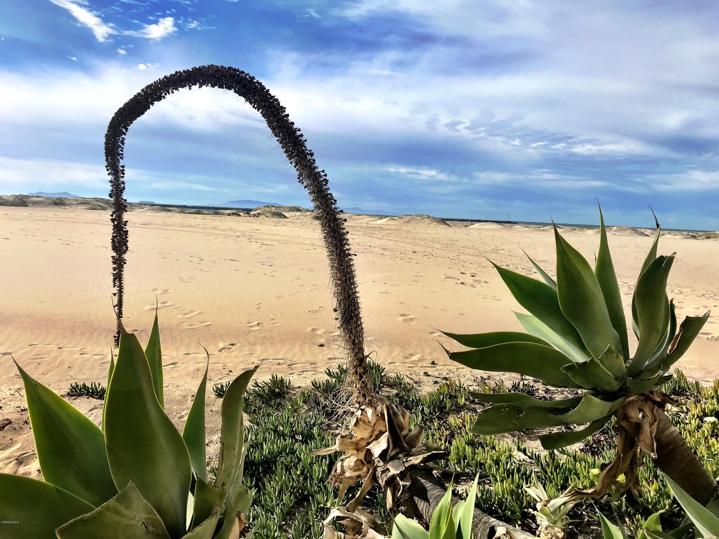 3025 Ocean Drive Oxnard, CA 93035 - Photo 2 of 3 Front - Pic 2