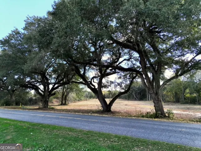a view of outdoor space with trees all around