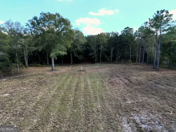 $40,000 | 0 Goodson Road, Camilla, GA 31730