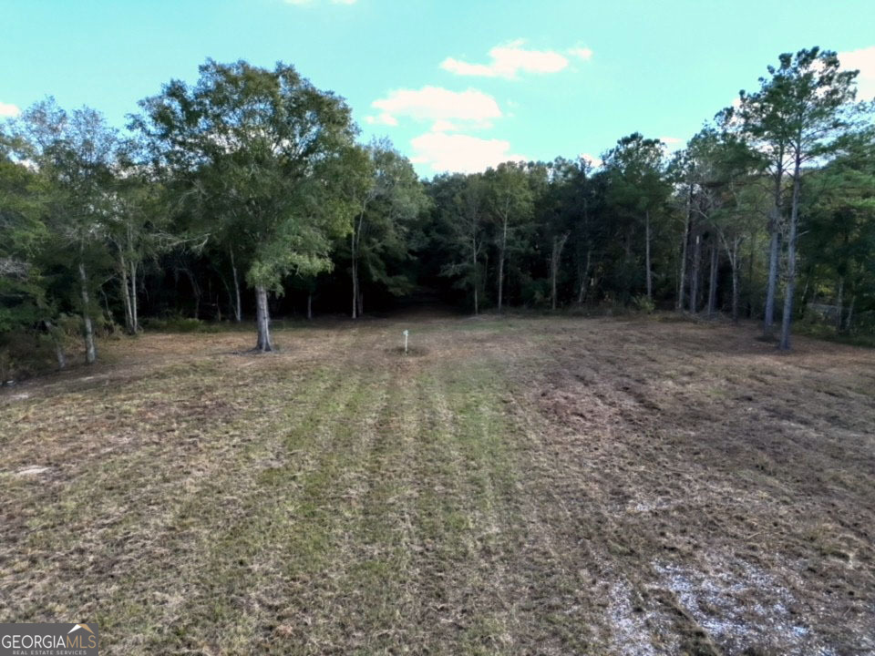 0 Goodson Road Camilla, GA 31730 - Photo 4 of 6 a view of outdoor space with trees