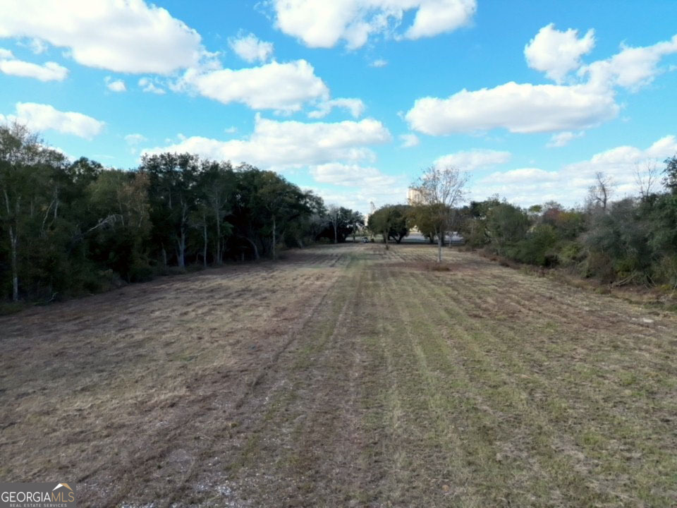 0 Goodson Road Camilla, GA 31730 - Photo 5 of 6 a view of an outdoor space and a yard