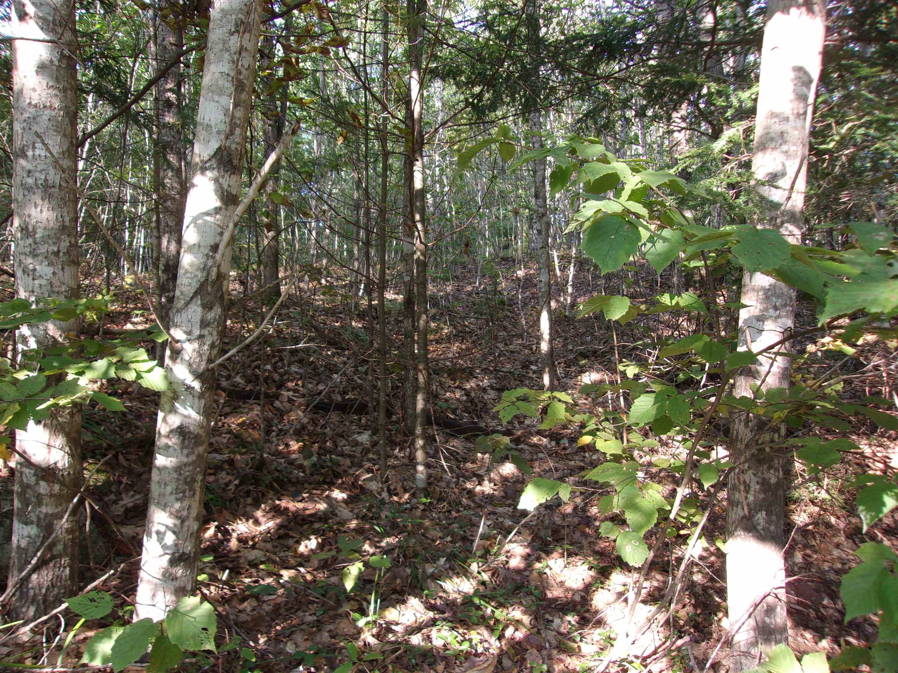 Fenn Way Circle, Unit 17 Bath, NH 03740 - Photo 11 of 19