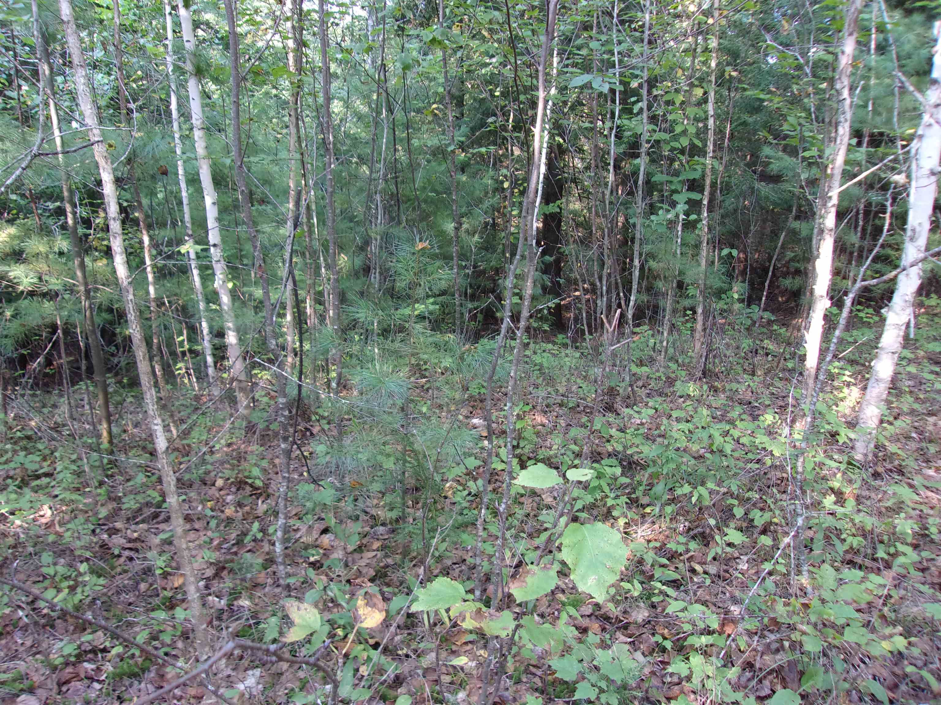 Fenn Way Circle, Unit 17 Bath, NH 03740 - Photo 12 of 19