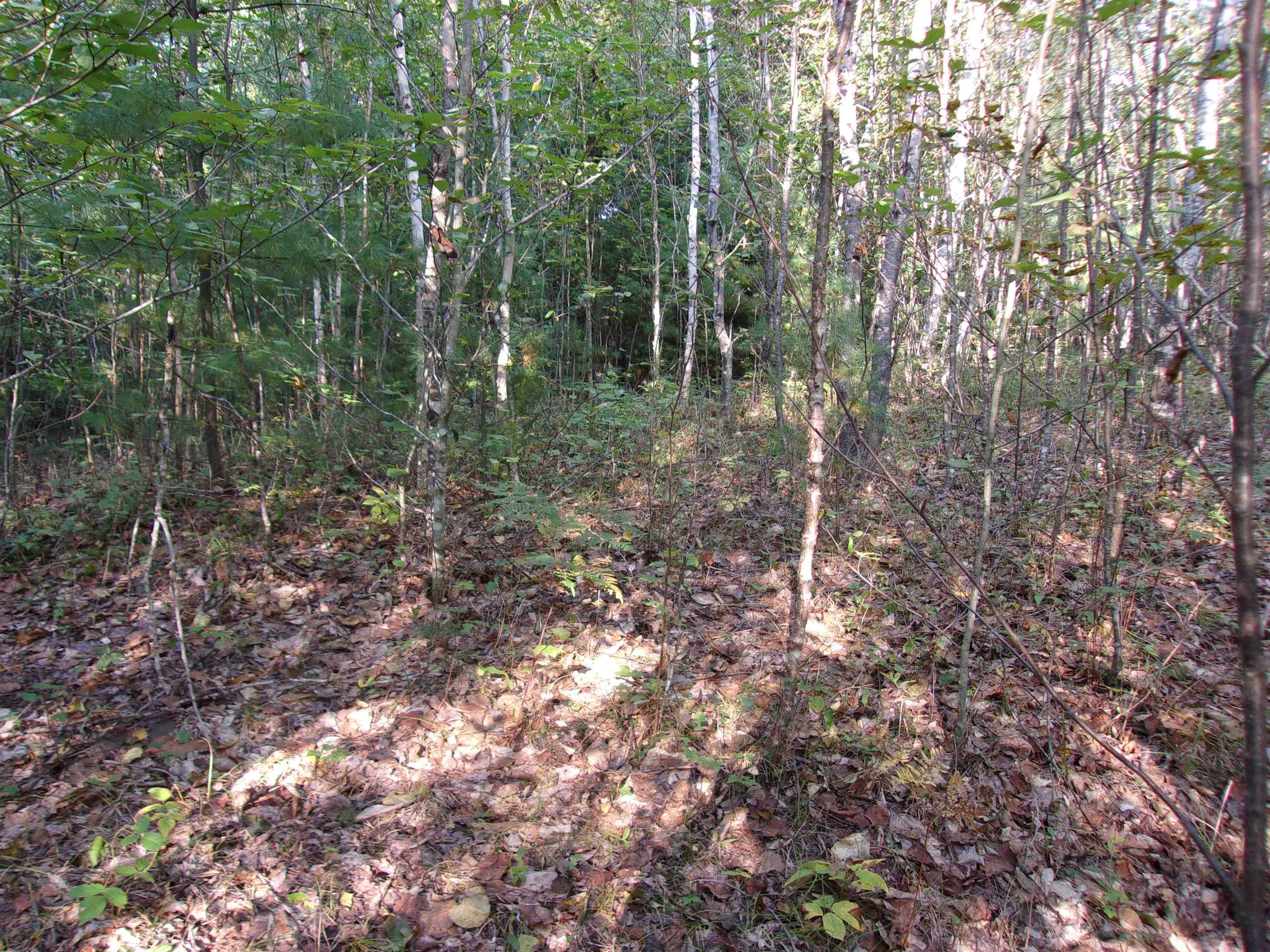 Fenn Way Circle, Unit 17 Bath, NH 03740 - Photo 13 of 19