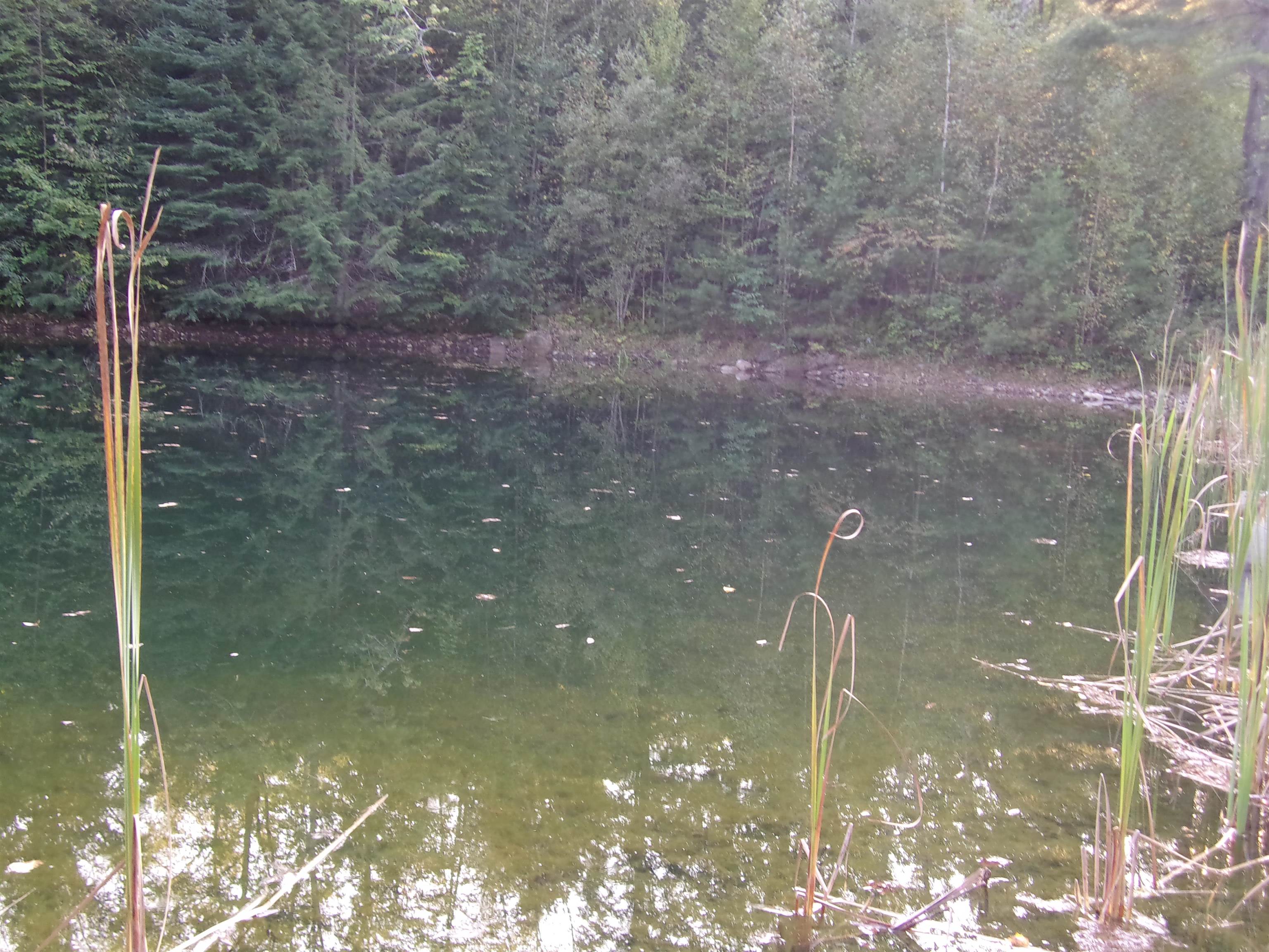 Fenn Way Circle, Unit 17 Bath, NH 03740 - Photo 18 of 19