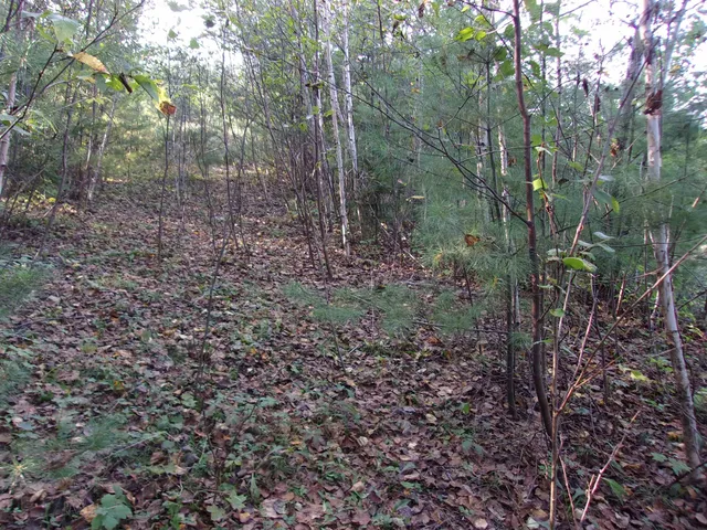 $69,000 | Fenn Way Circle, Unit 17, Bath, NH 03740