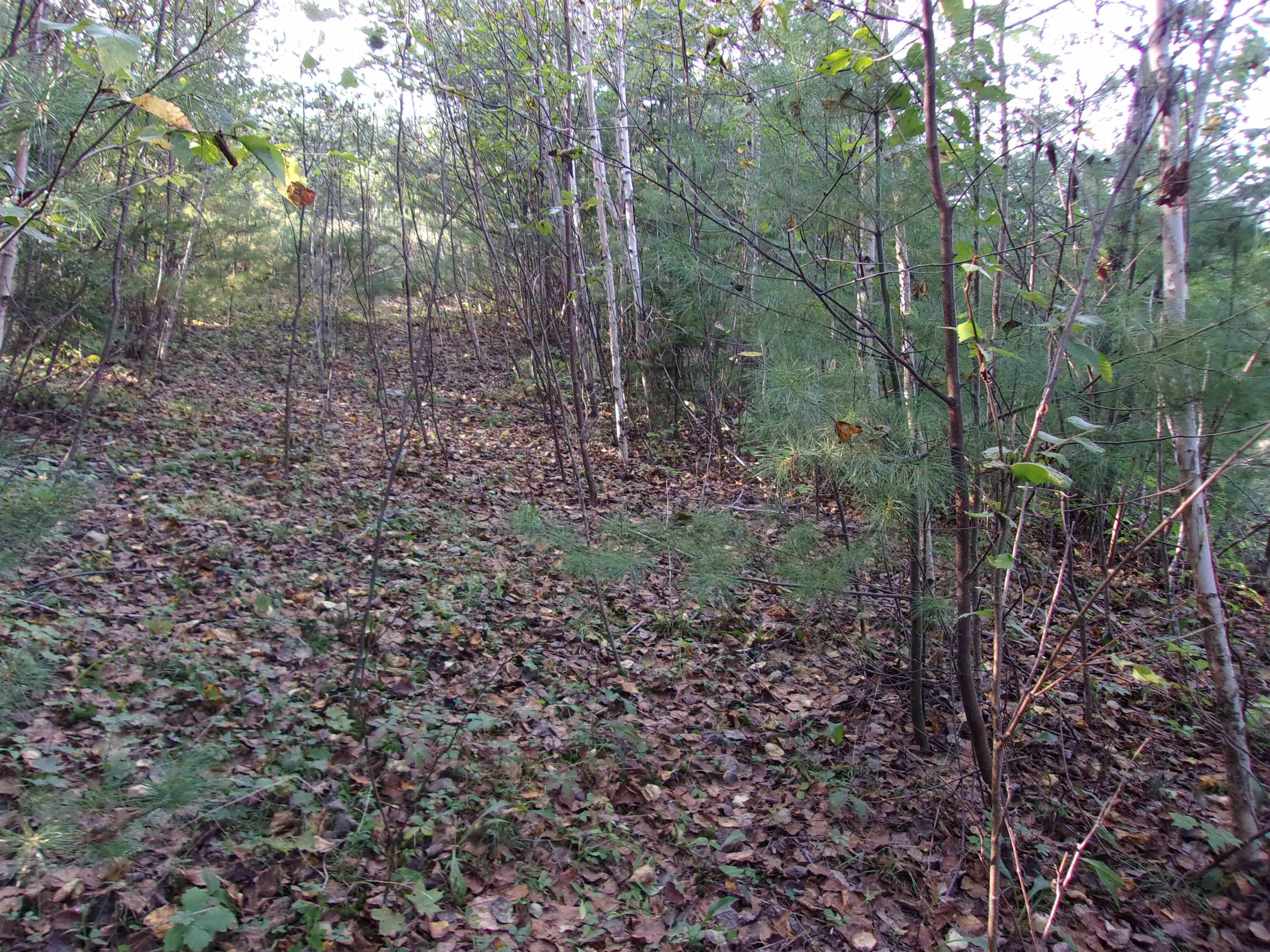 Fenn Way Circle, Unit 17 Bath, NH 03740 - Photo 10 of 19