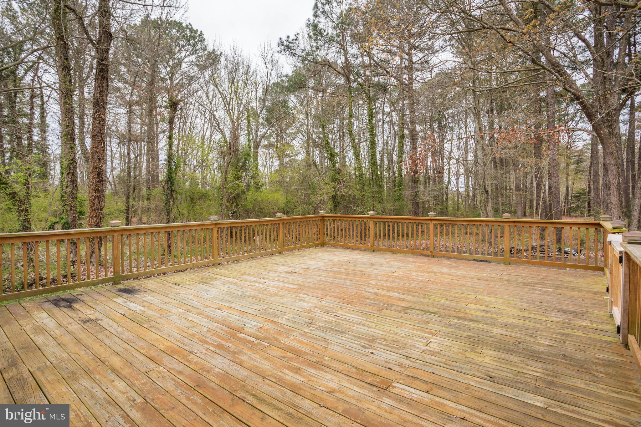 16641 Three Notch Road Ridge, MD 20680 - Photo 49 of 53