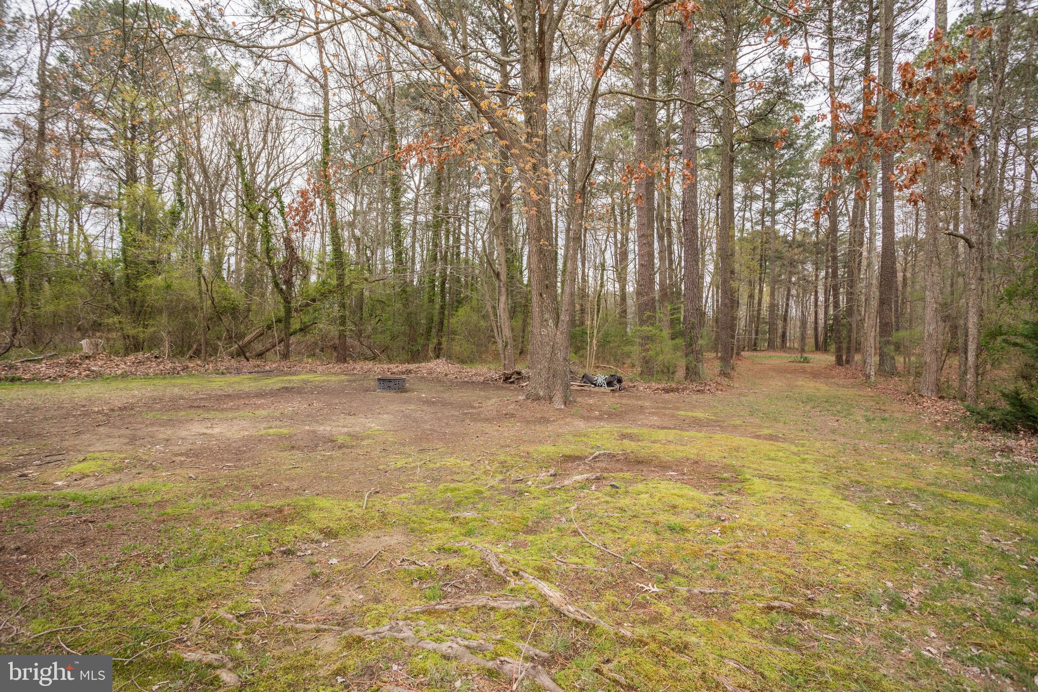 16641 Three Notch Road Ridge, MD 20680 - Photo 51 of 53