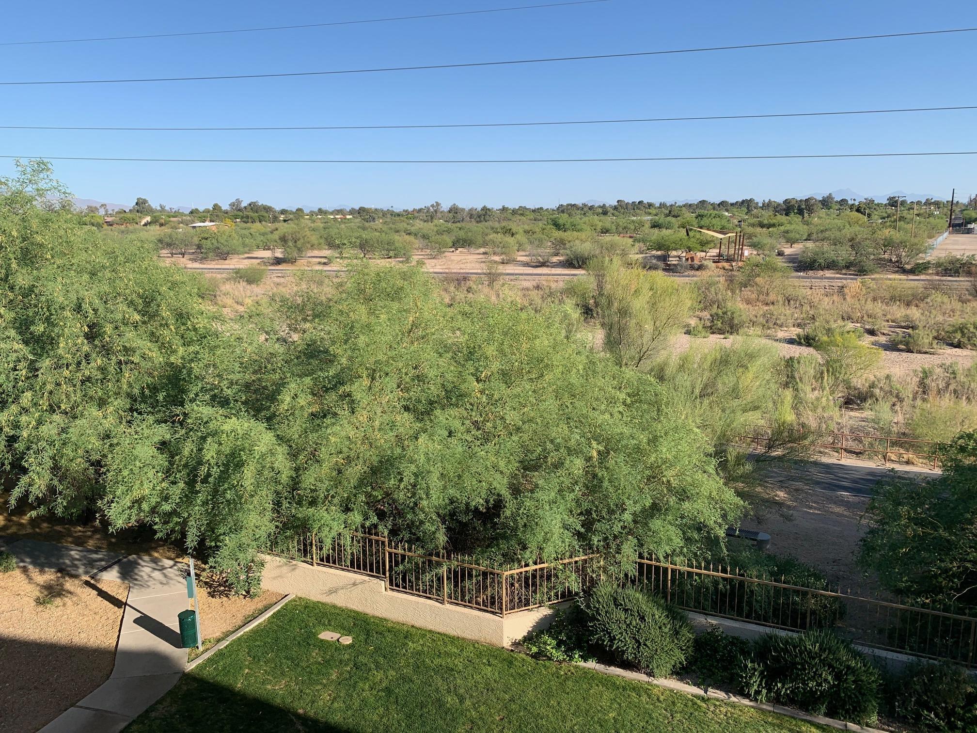 2550 East River Road, Unit 16301 Tucson, AZ 85718 - Photo 32 of 36 IMG_3480