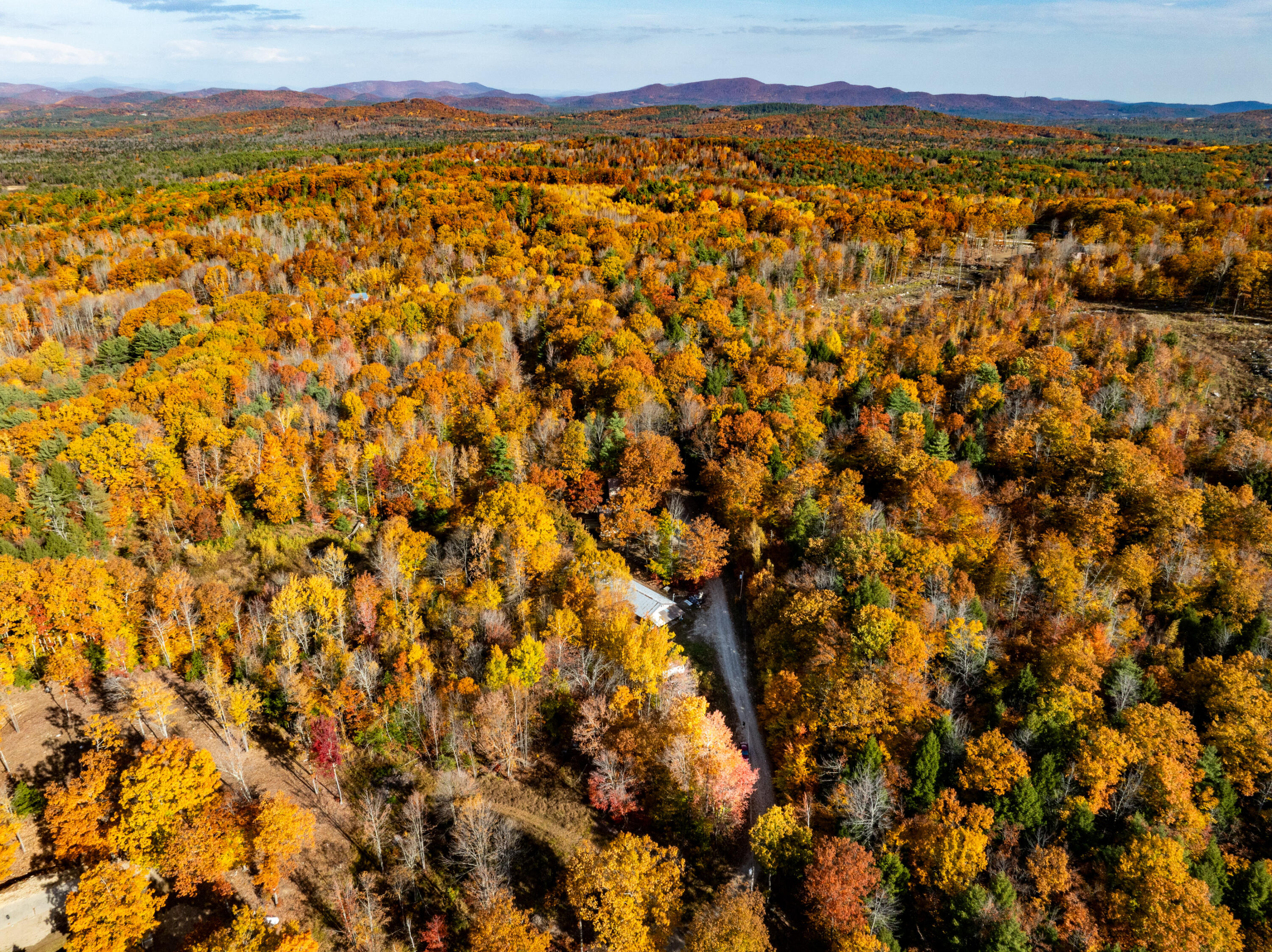 41 Corson Road Parsonsfield, ME 04047 - Photo 8 of 54 Chickadee Imagery-28