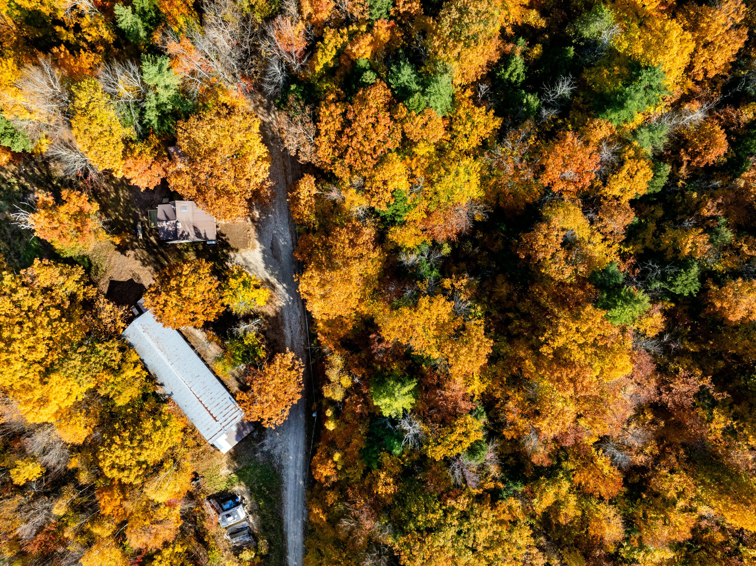 41 Corson Road Parsonsfield, ME 04047 - Photo 9 of 54 Chickadee Imagery-36