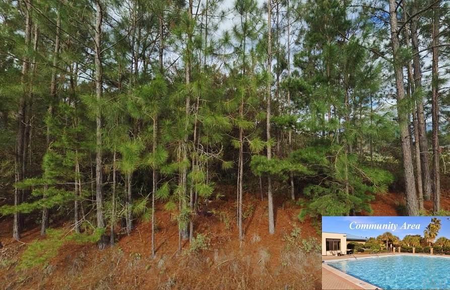 7-165 Cove Road Navarre, FL 32566 - Photo 1 of 18 Gallery Image 1