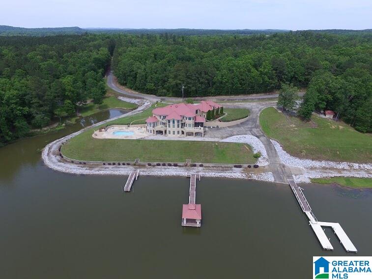 3148 River Ranch Road Ragland, AL 35131 - Photo 2 of 45