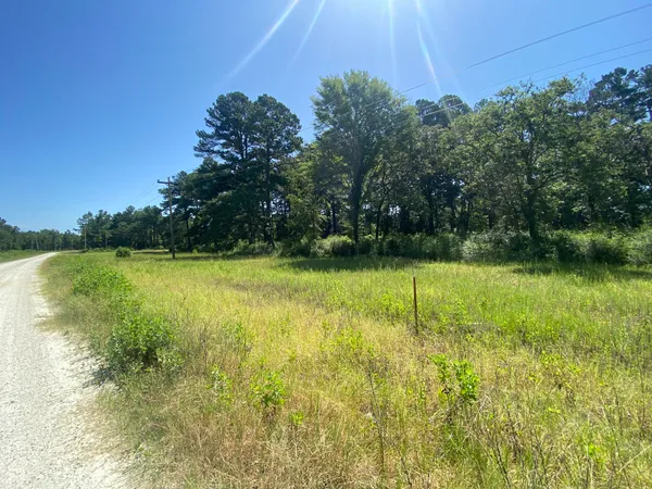 a view of a garden with a building in the background