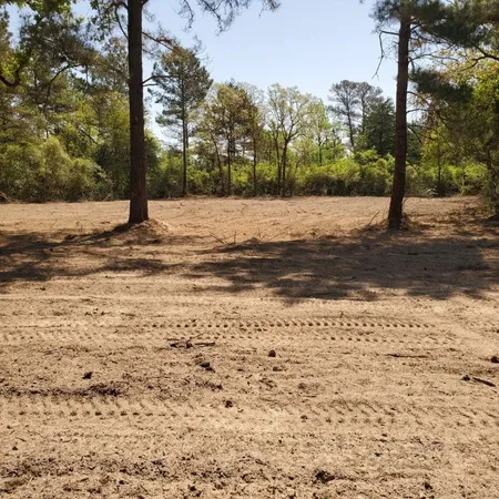 a view of a yard with a tree