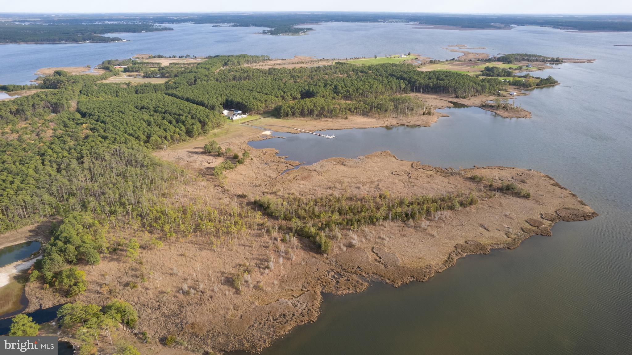 Ross Neck Road Cambridge, MD 21613 - Photo 11 of 30