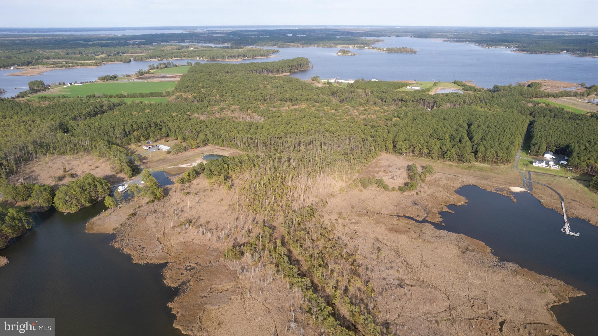 Ross Neck Road Cambridge, MD 21613 - Photo 13 of 30