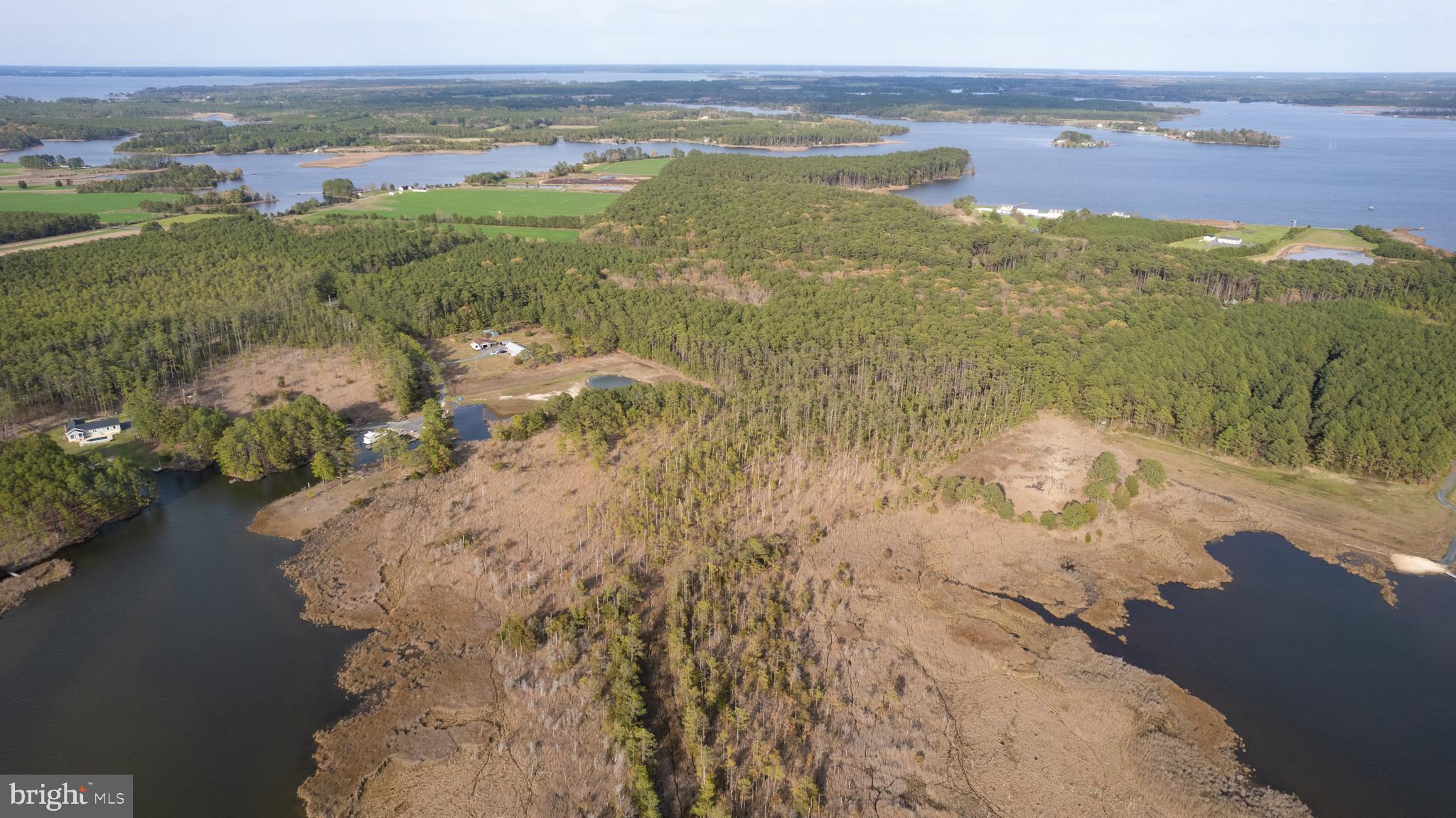 Ross Neck Road Cambridge, MD 21613 - Photo 14 of 30