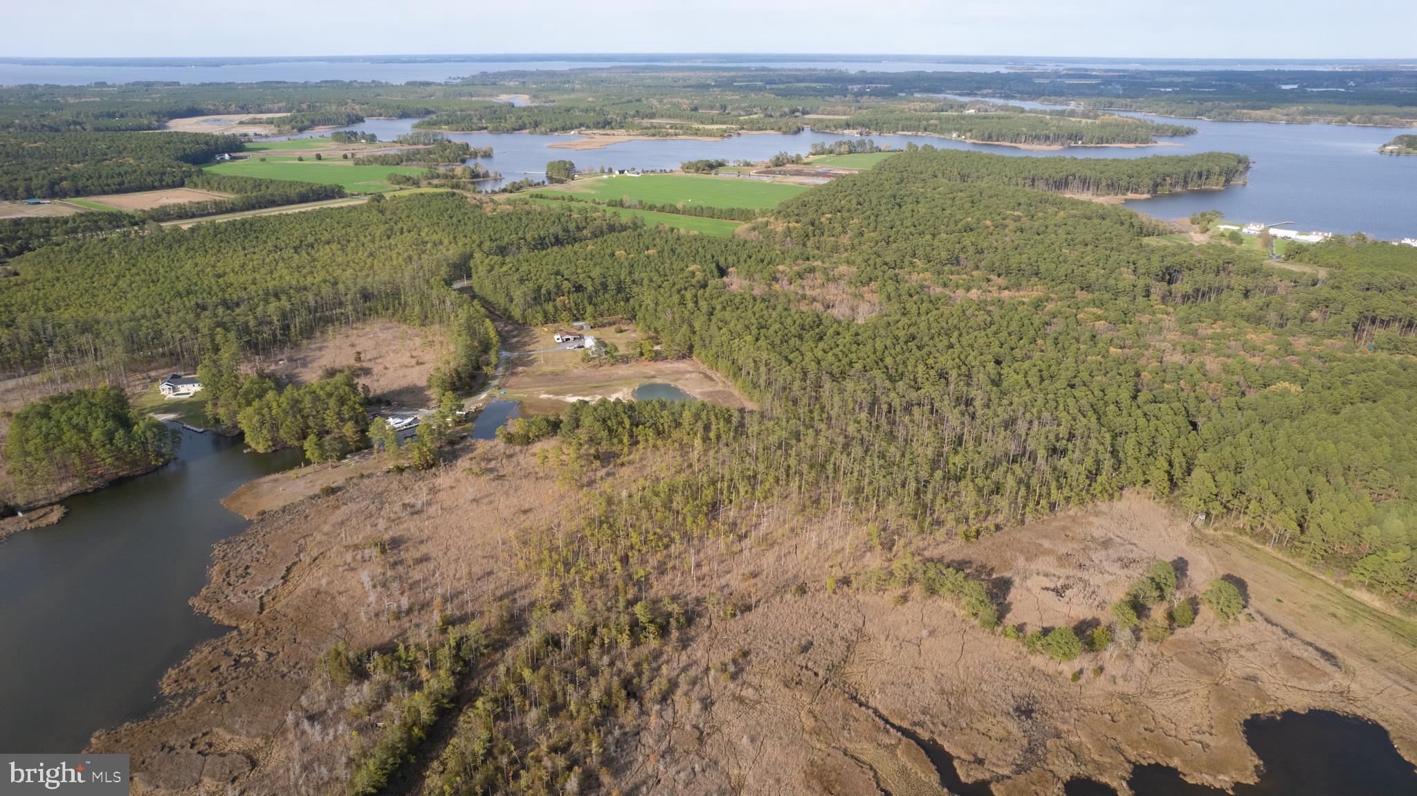 Ross Neck Road Cambridge, MD 21613 - Photo 15 of 30