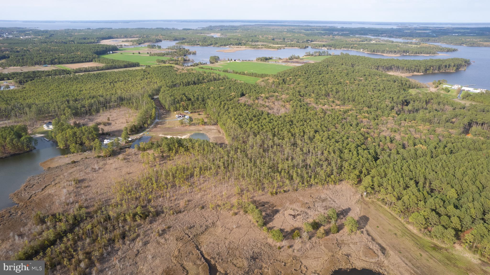 Ross Neck Road Cambridge, MD 21613 - Photo 16 of 30