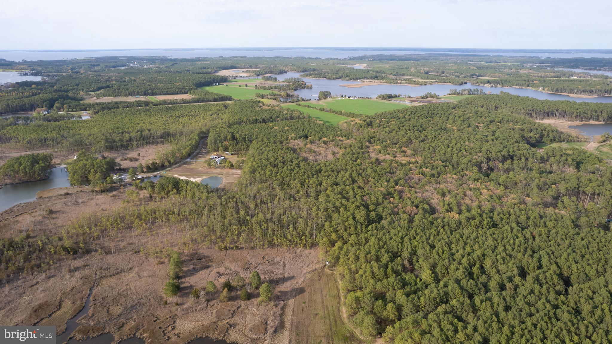 Ross Neck Road Cambridge, MD 21613 - Photo 17 of 30