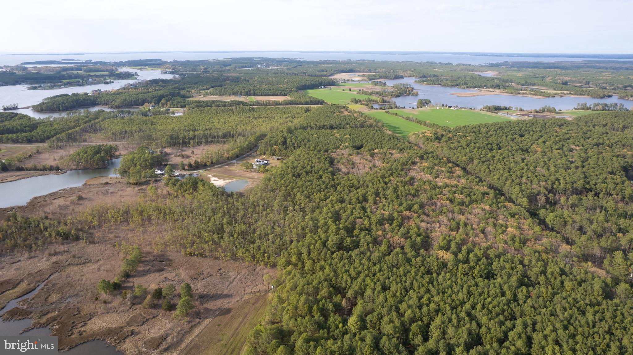 Ross Neck Road Cambridge, MD 21613 - Photo 18 of 30