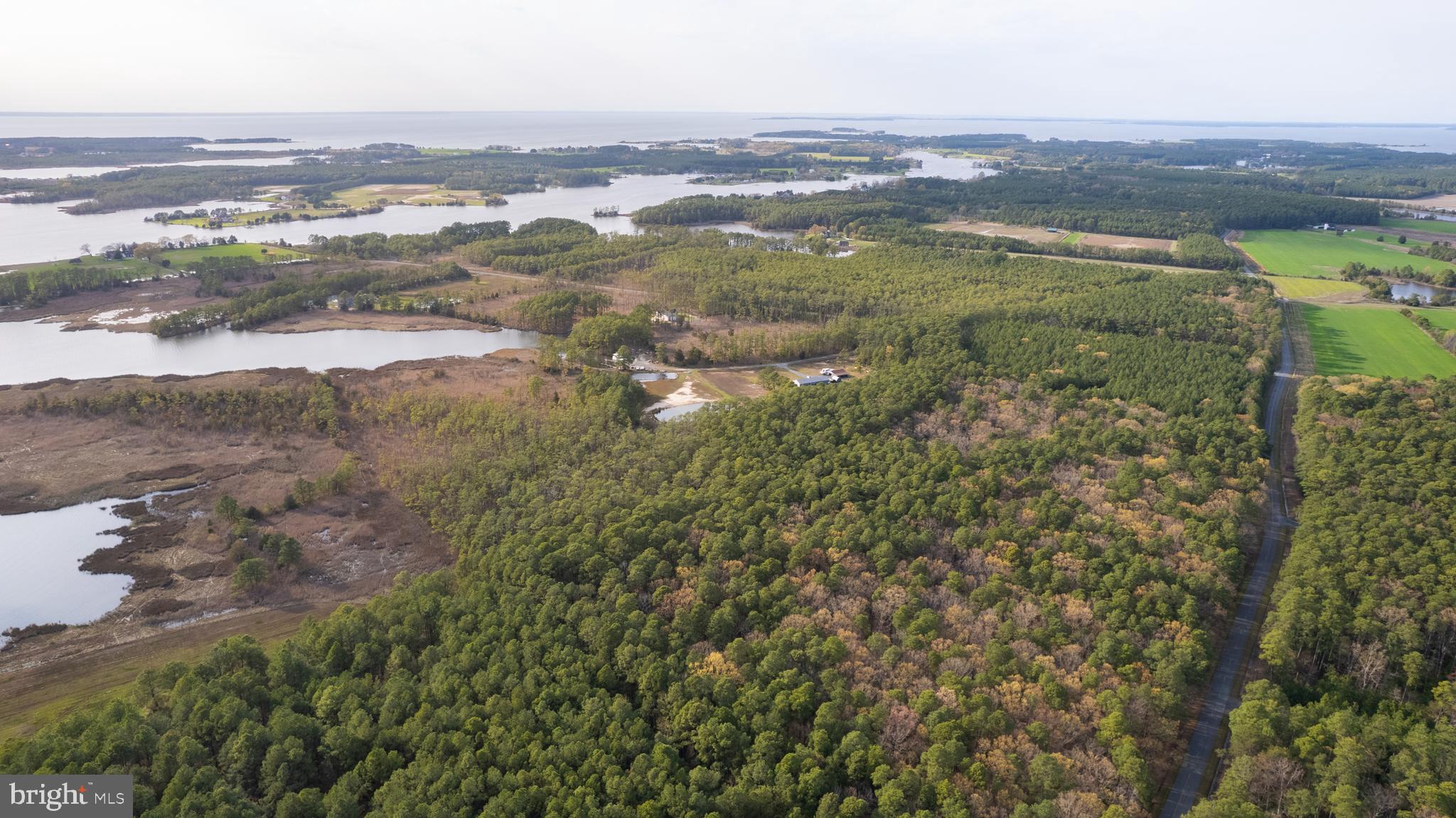 Ross Neck Road Cambridge, MD 21613 - Photo 20 of 30