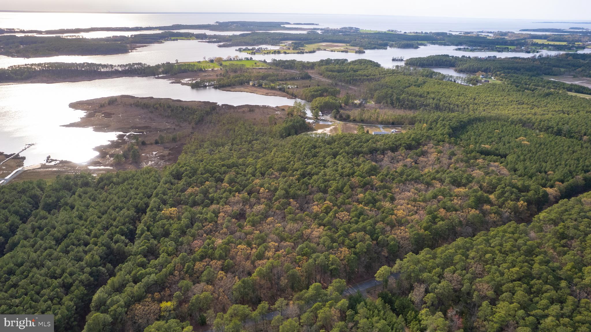 Ross Neck Road Cambridge, MD 21613 - Photo 22 of 30