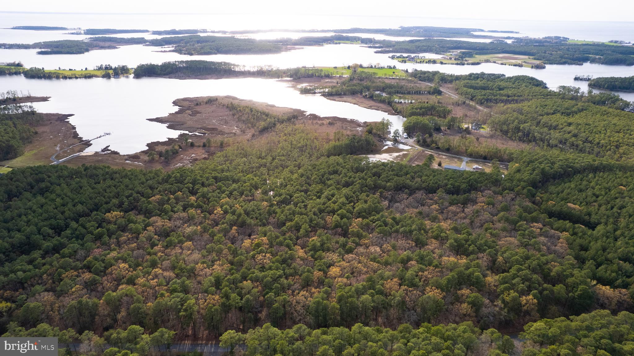 Ross Neck Road Cambridge, MD 21613 - Photo 24 of 30