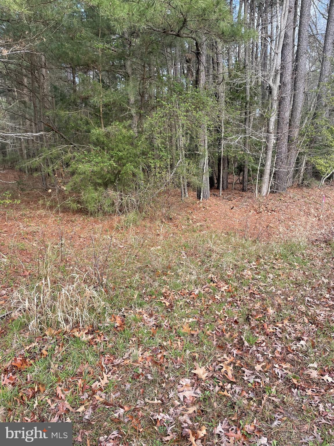 Ross Neck Road Cambridge, MD 21613 - Photo 25 of 30