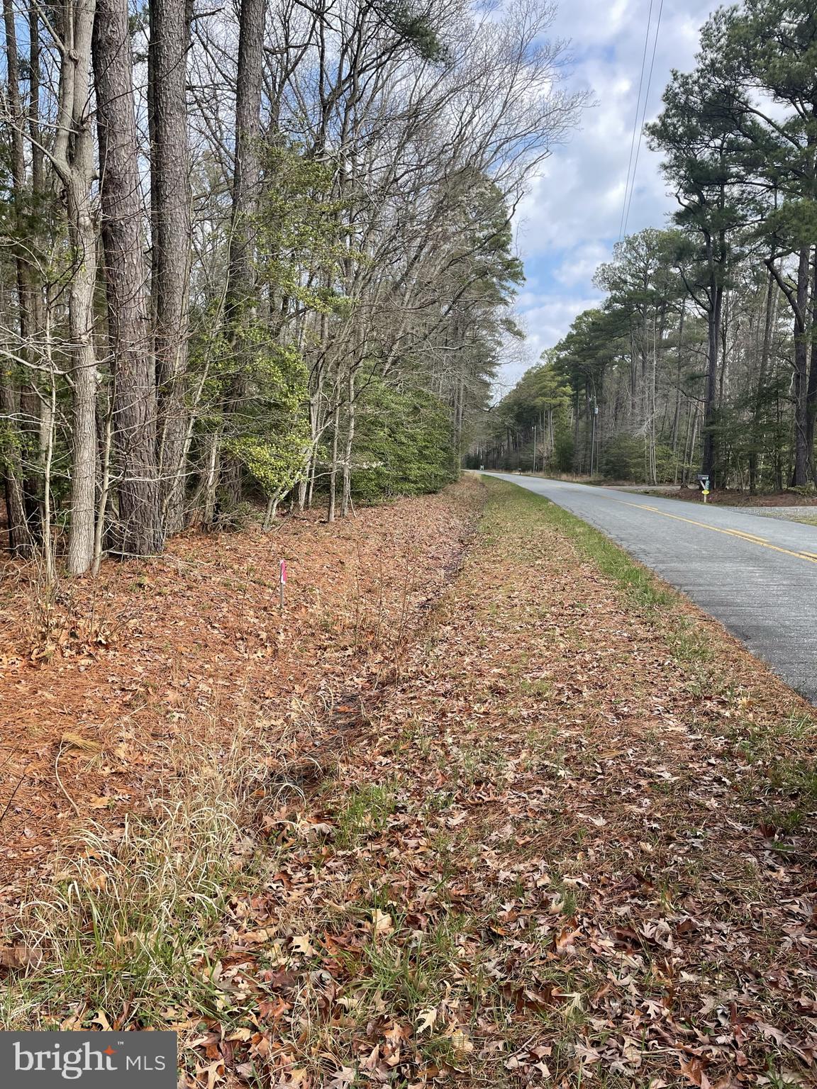 Ross Neck Road Cambridge, MD 21613 - Photo 27 of 30