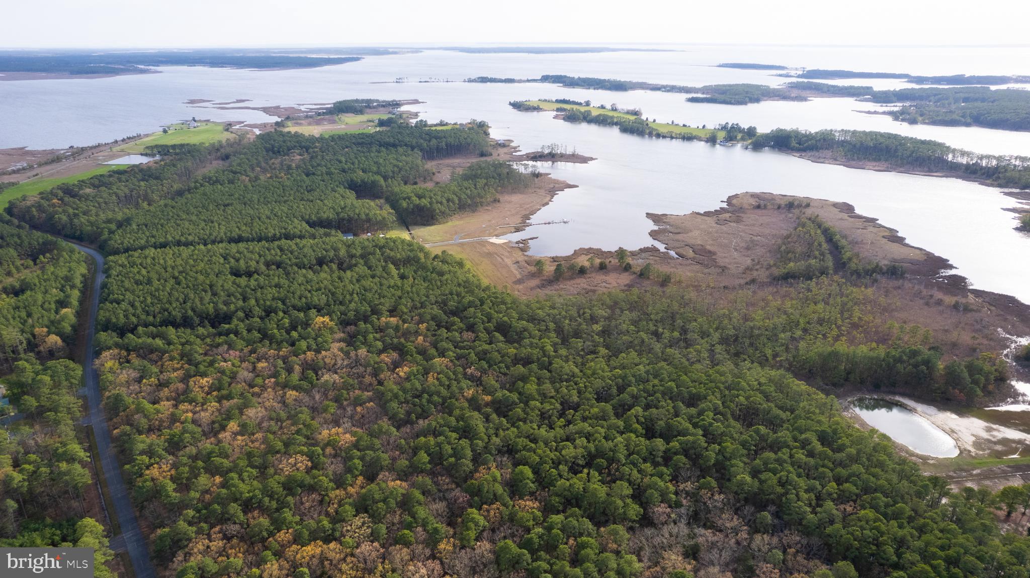 Ross Neck Road Cambridge, MD 21613 - Photo 5 of 30
