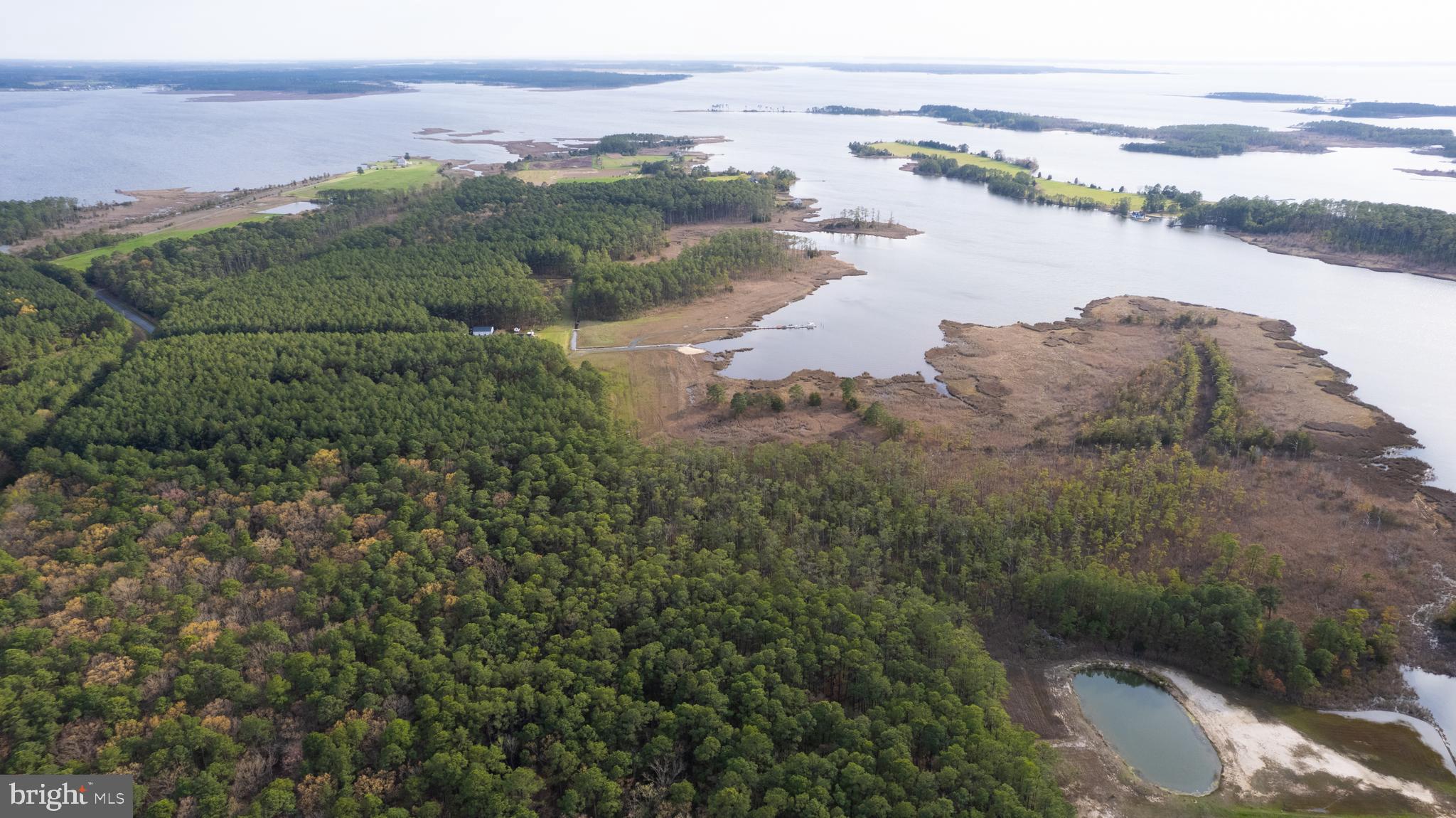 Ross Neck Road Cambridge, MD 21613 - Photo 6 of 30