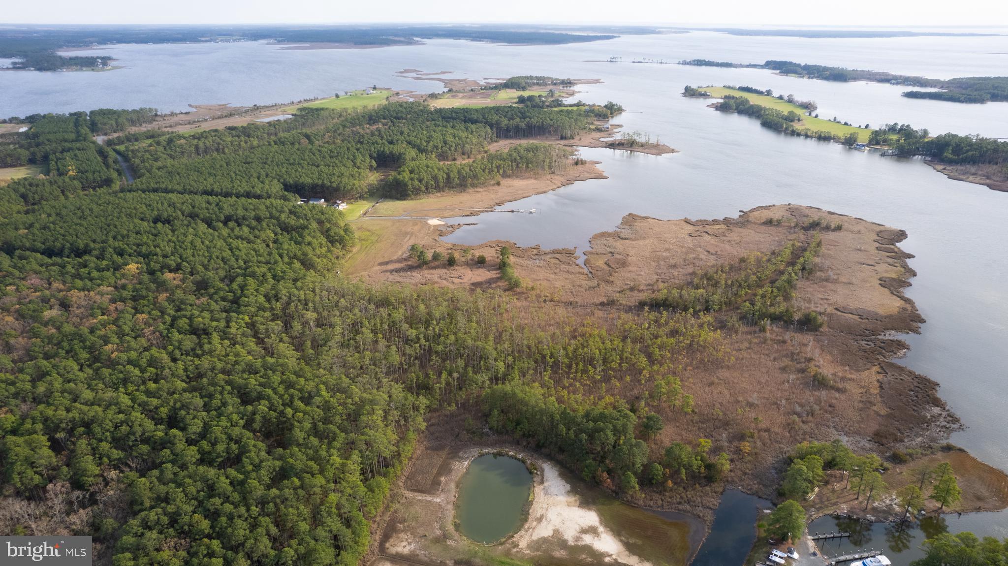 Ross Neck Road Cambridge, MD 21613 - Photo 7 of 30