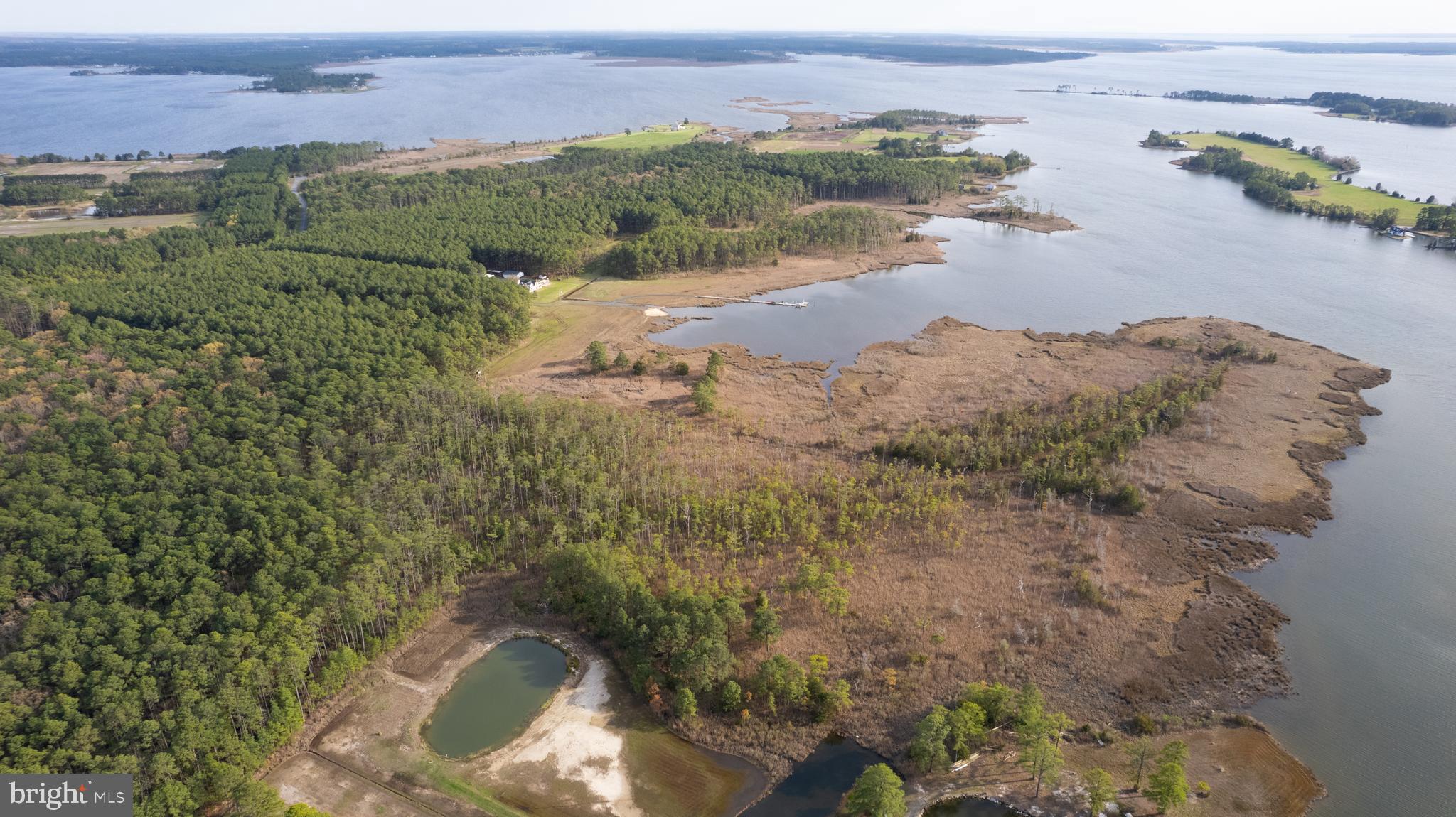 Ross Neck Road Cambridge, MD 21613 - Photo 8 of 30