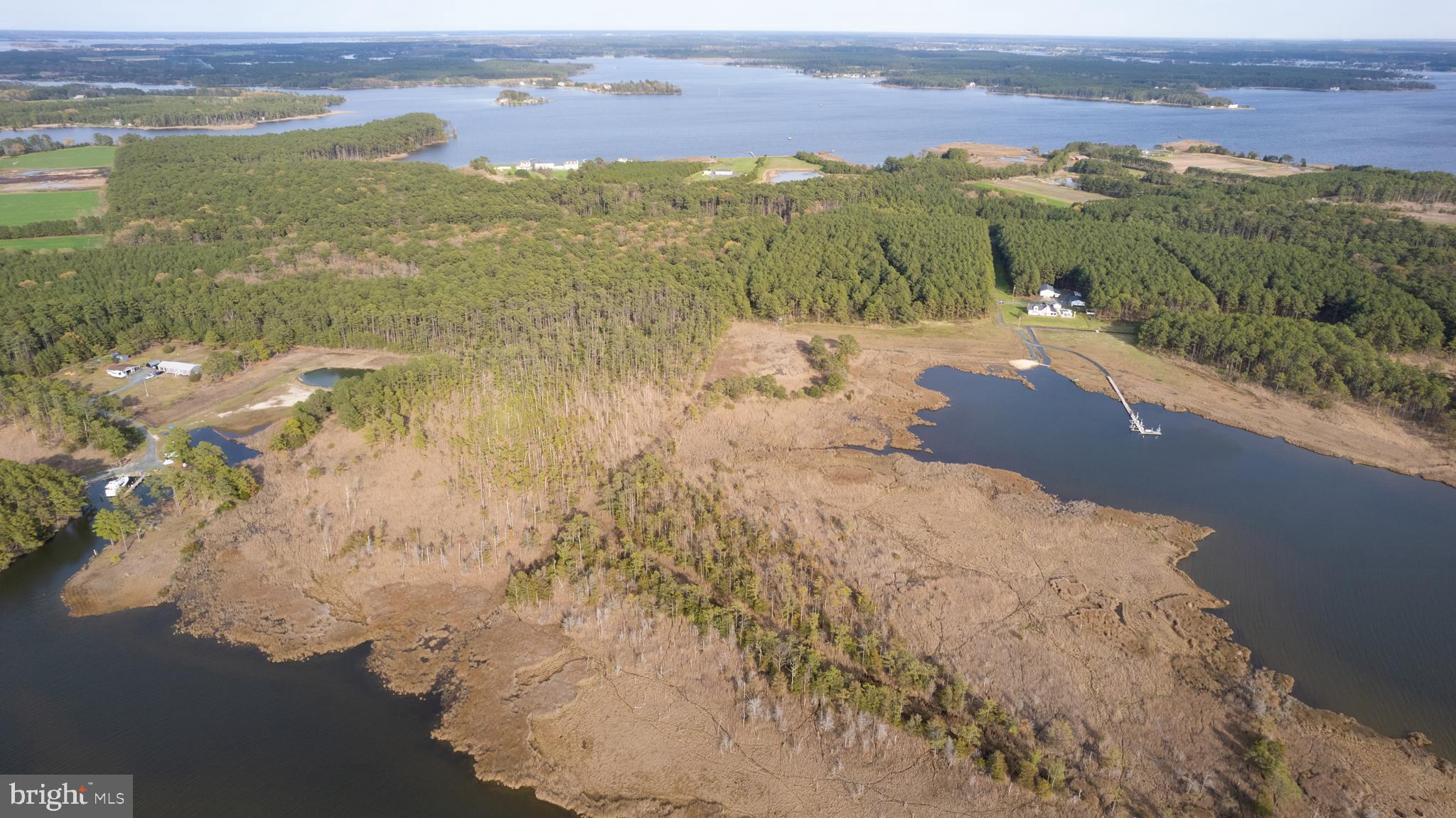 Ross Neck Road Cambridge, MD 21613 - Photo 10 of 30